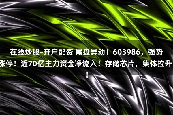 在线炒股-开户配资 尾盘异动！603986，强势涨停！近70亿主力资金净流入！存储芯片，集体拉升！
